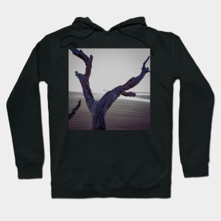 Driftwood Reaching Hoodie